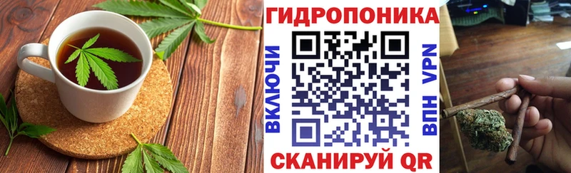 Cannafood конопля купить МЕГА ссылки Гвардейск