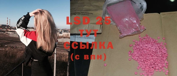 стаф Верея