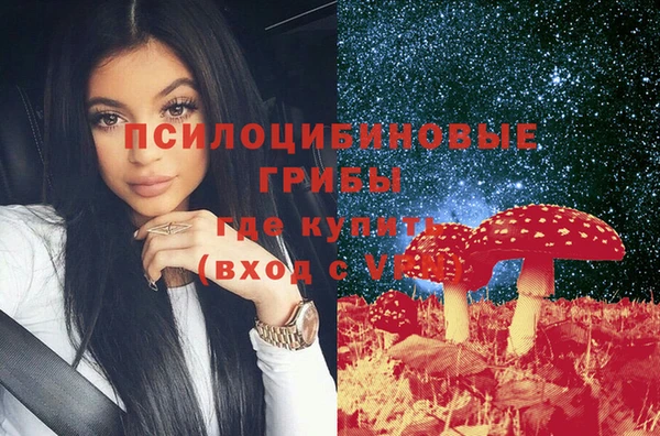 молекула духа Верхний Тагил