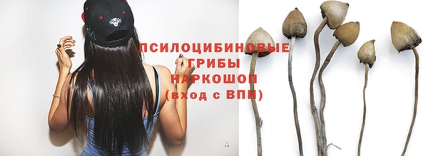 герыч Володарск