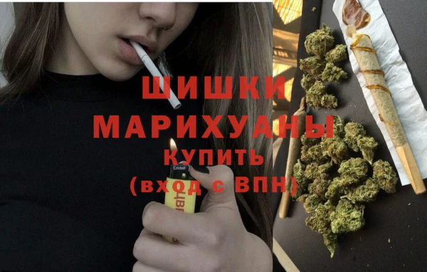 стаф Верея