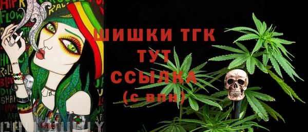 молекула духа Верхний Тагил
