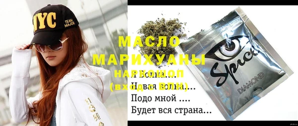 стаф Верея
