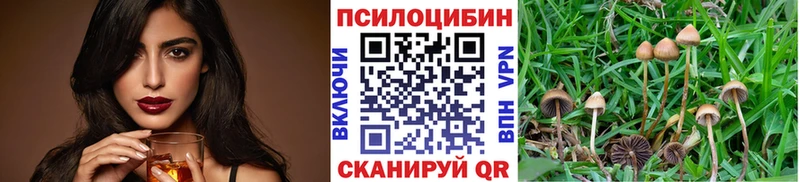 купить закладку  маркетплейс клад  Псилоцибиновые грибы мухоморы  Гвардейск 